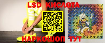спиды Краснодар