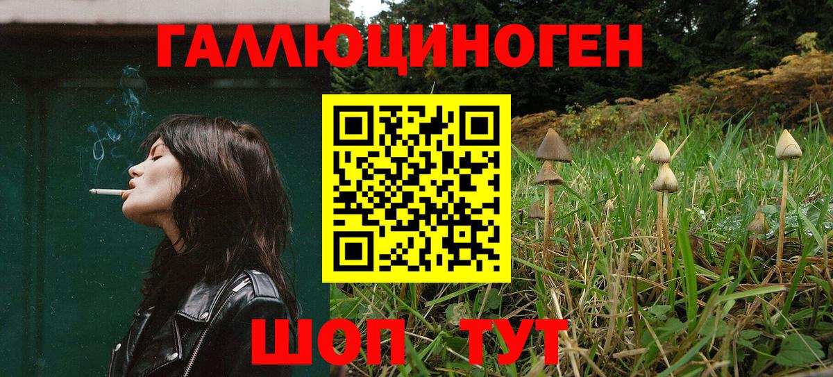 Галлюциногенные грибы ЛСД  Псилоцибиновые грибы GOLDEN TEACHER  Вход с VPN  Дивногорск 